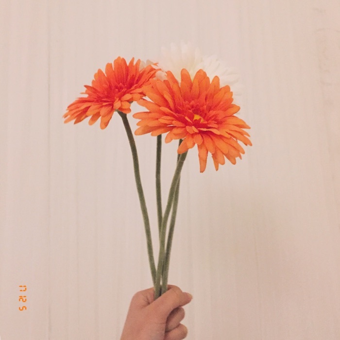 profile cover