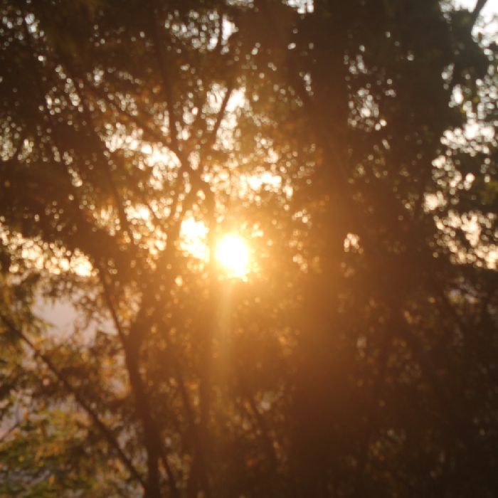 profile cover