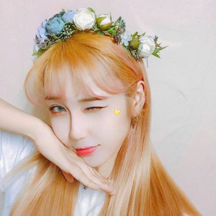 profile cover