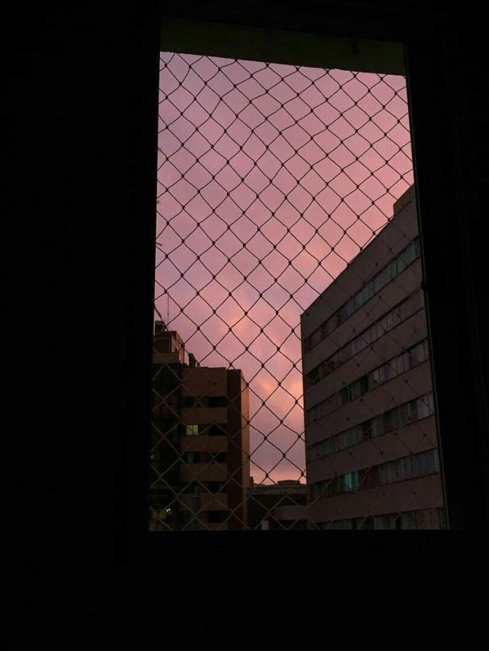 story-img
