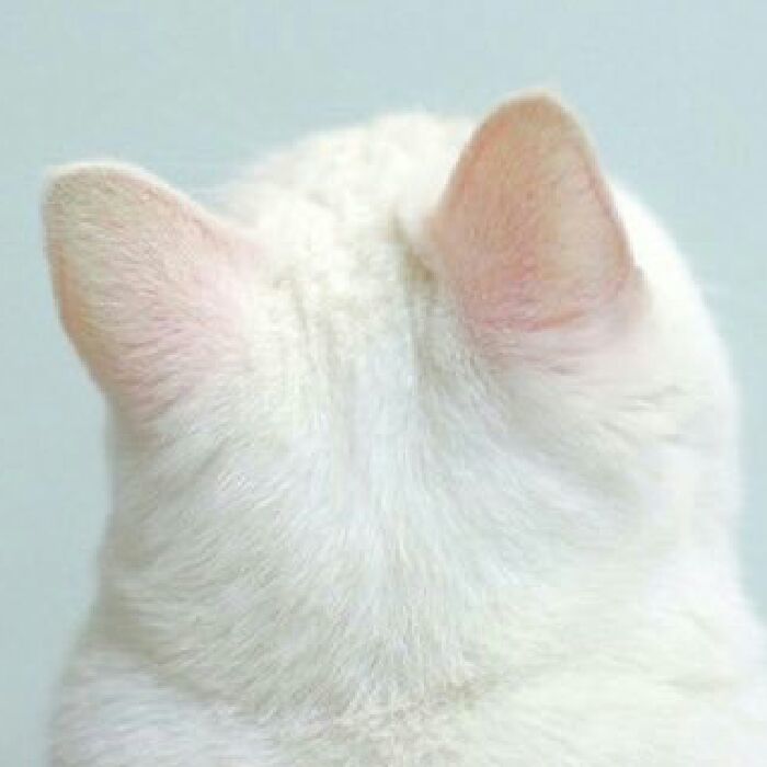 profile cover