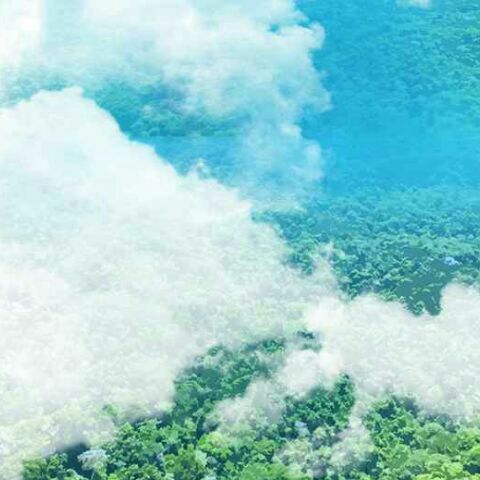 profile cover