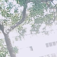 profile cover