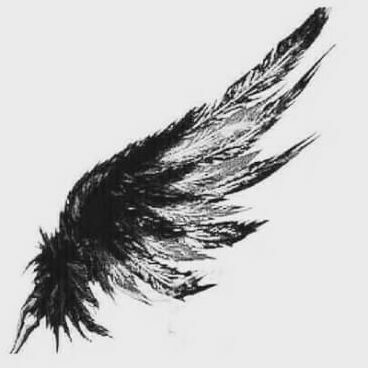 profile cover