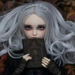 profile cover