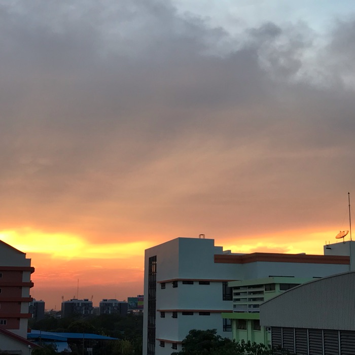 profile cover