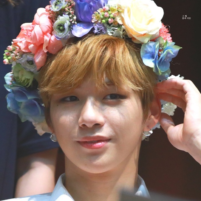 profile cover