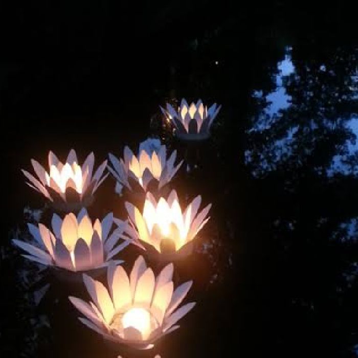 profile cover