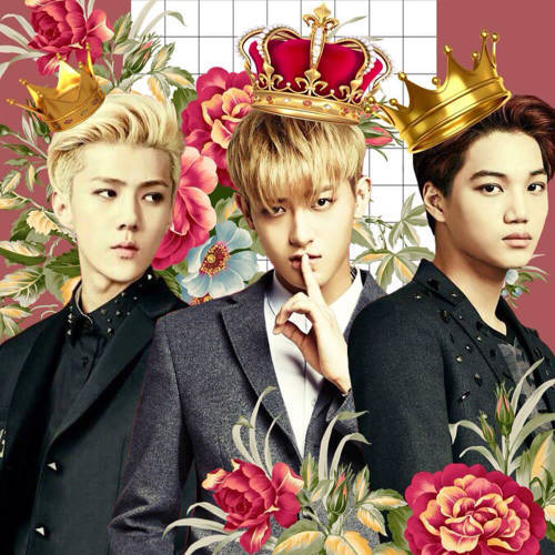 profile cover