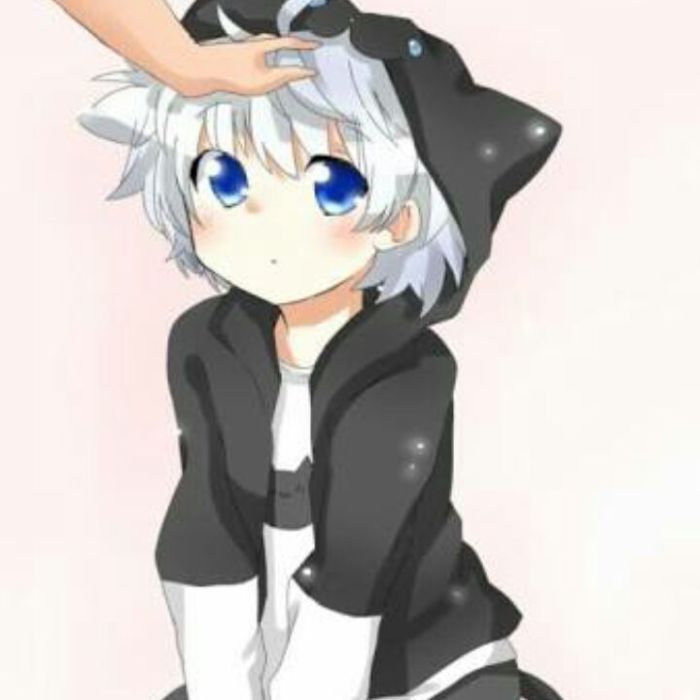 profile cover