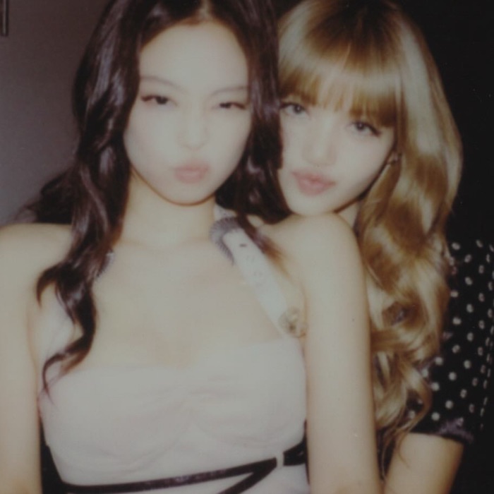 profile cover