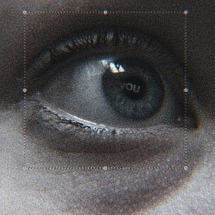 profile cover
