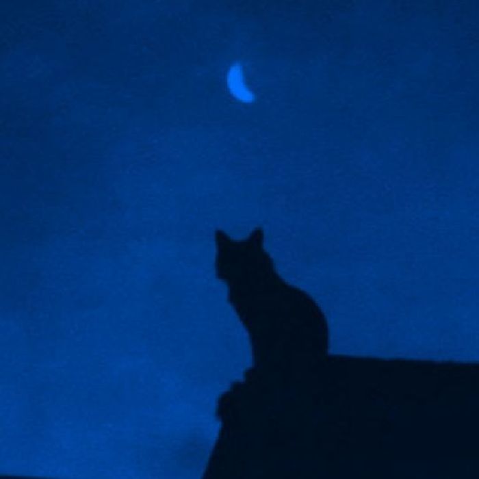 profile cover