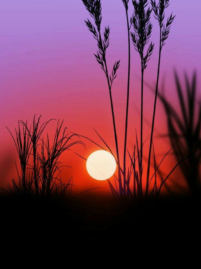 story-img
