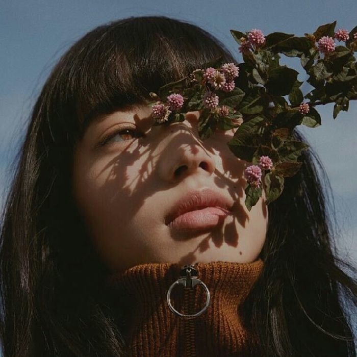 profile cover