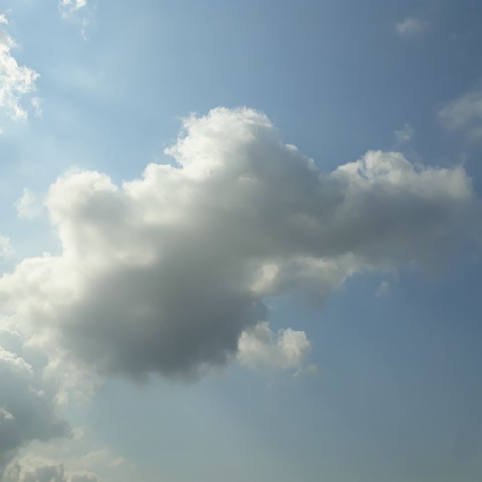 profile cover