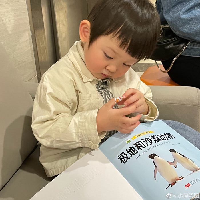profile cover