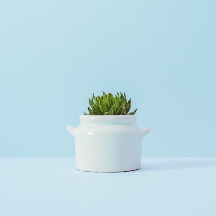 profile cover