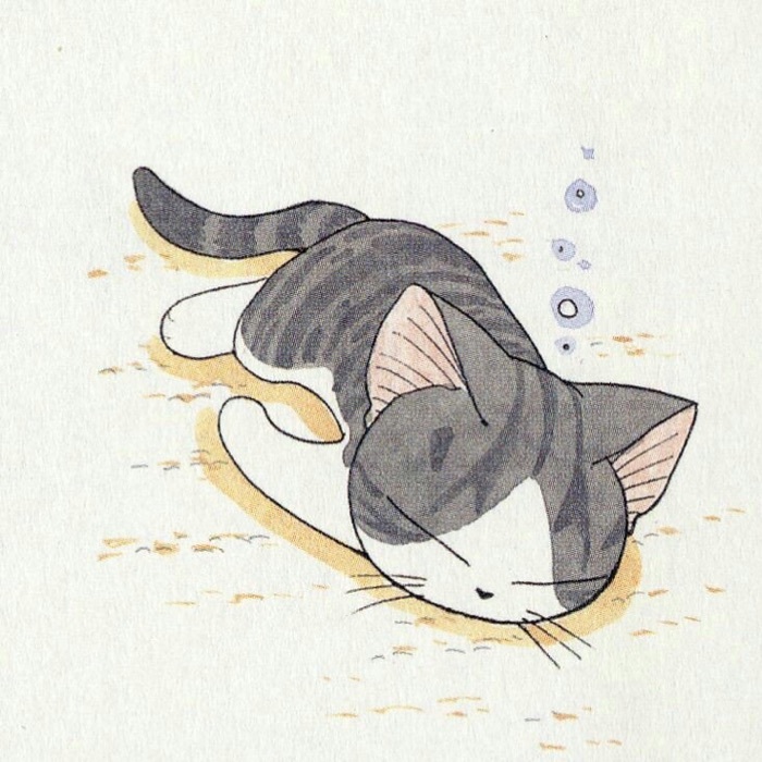 profile cover