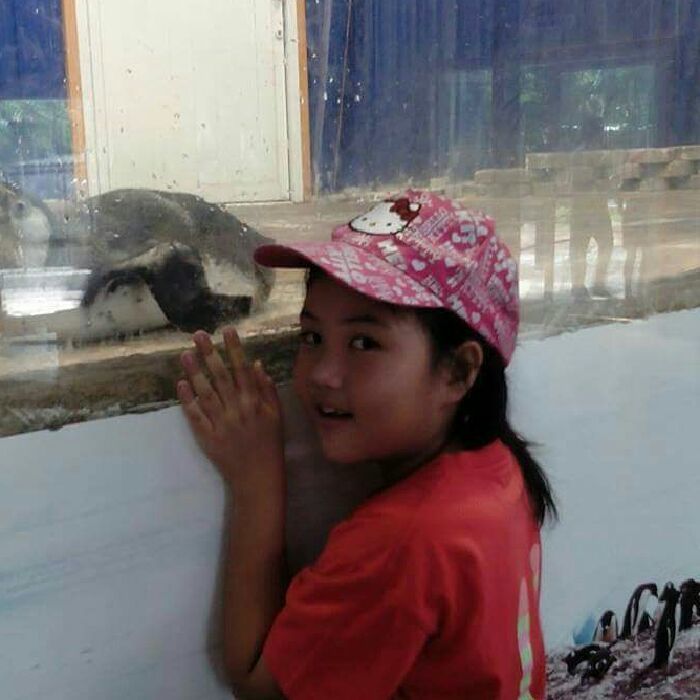 profile cover