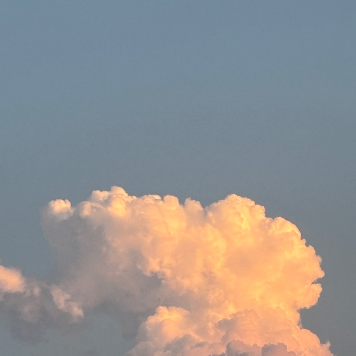 profile cover