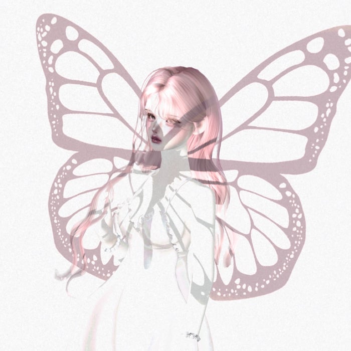 profile cover