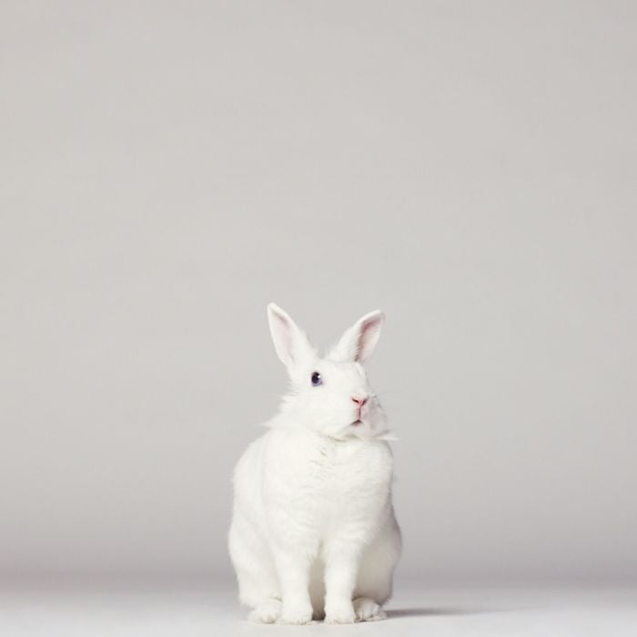 profile cover