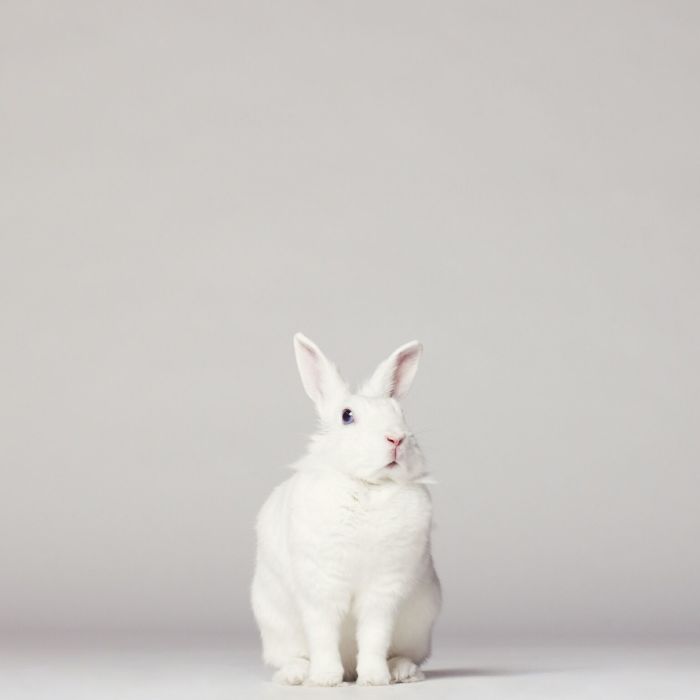 profile cover