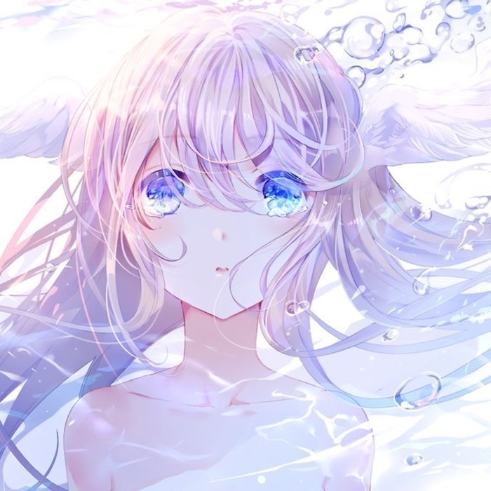 profile cover