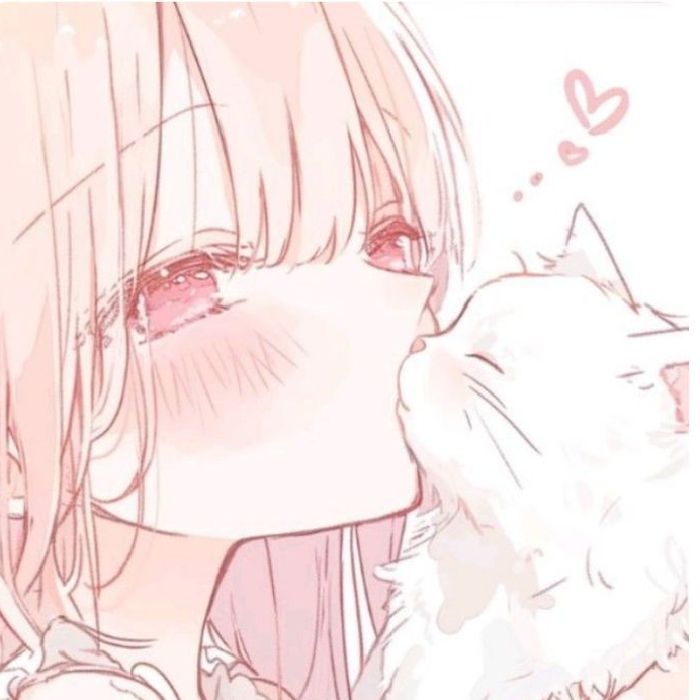 profile cover