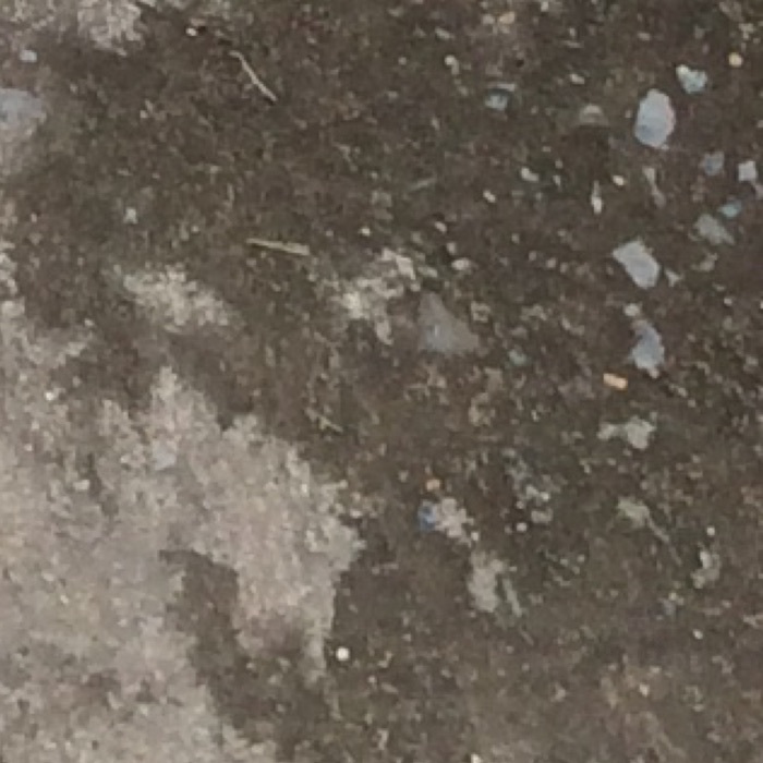 profile cover
