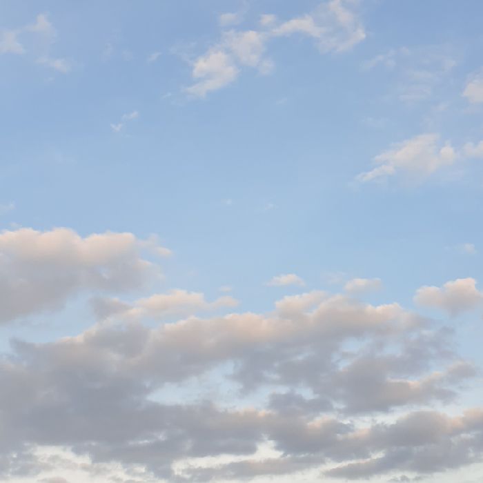 profile cover