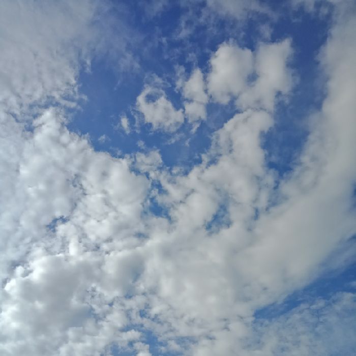 profile cover