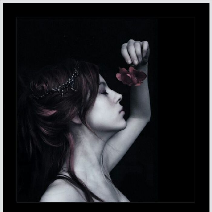profile cover