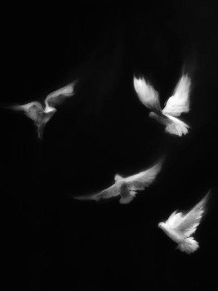 story-img