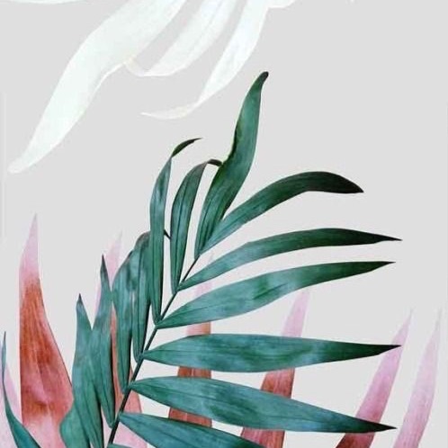 profile cover