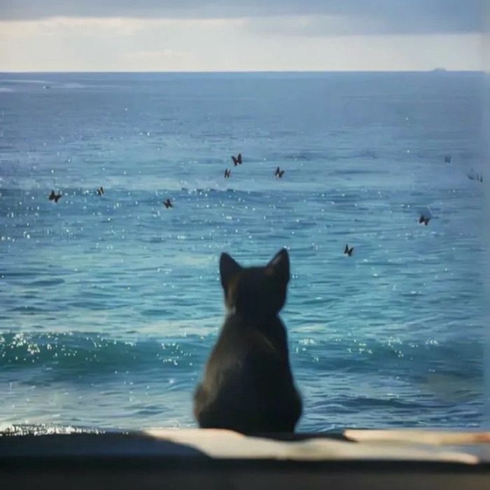 profile cover