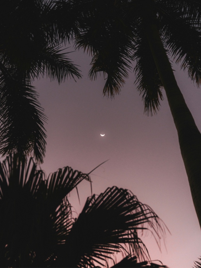 story-img