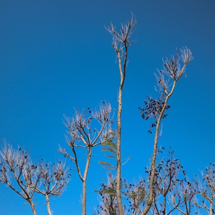 profile cover
