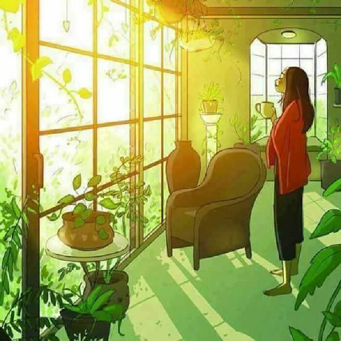 profile cover