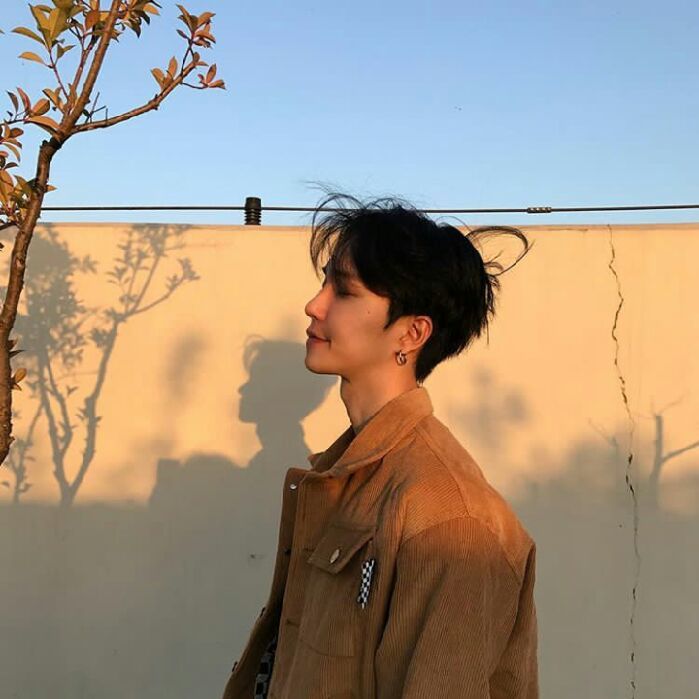 profile cover