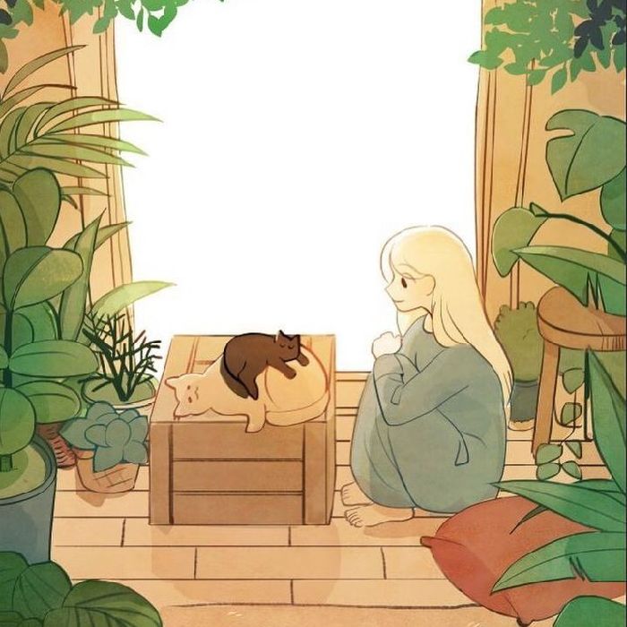 profile cover