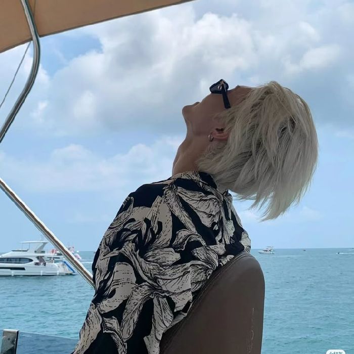profile cover