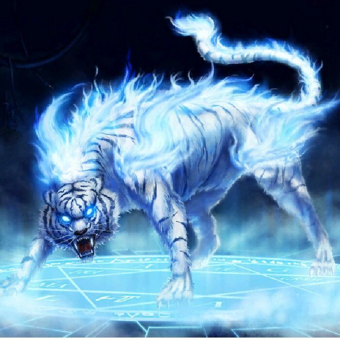 profile cover