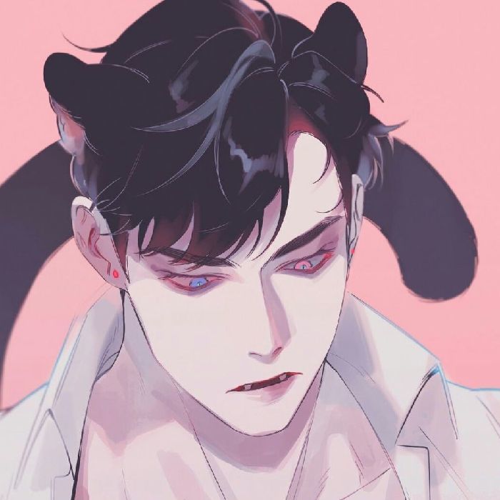 profile cover