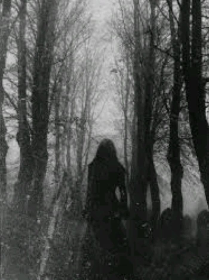 story-img