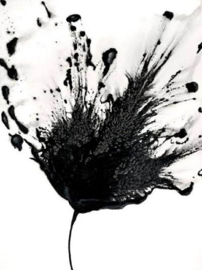 story-img