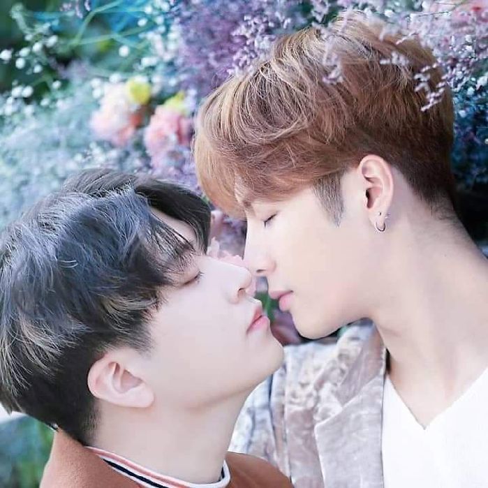 profile cover