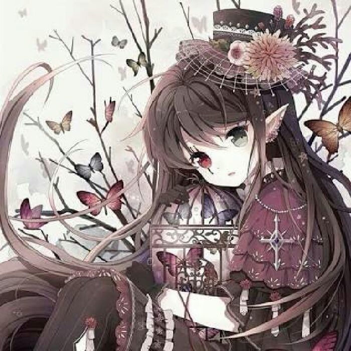profile cover
