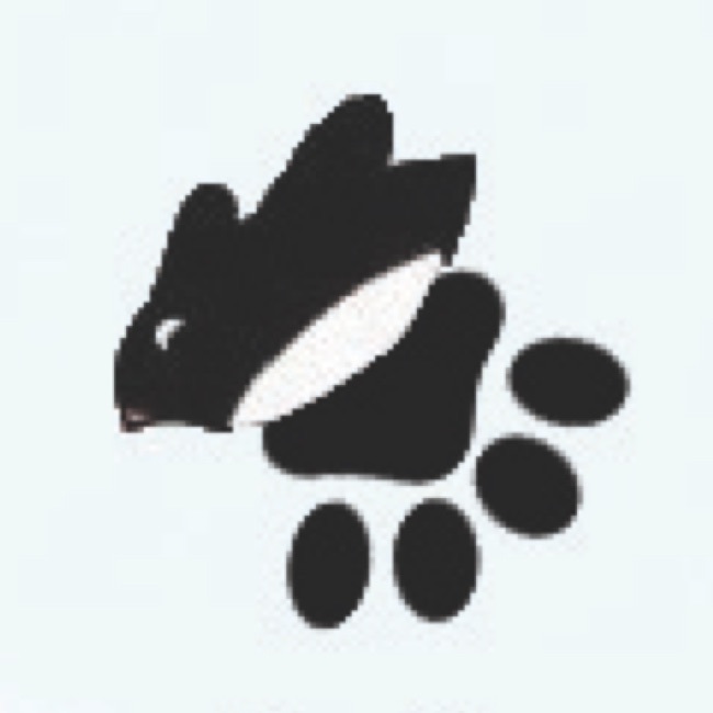 profile cover